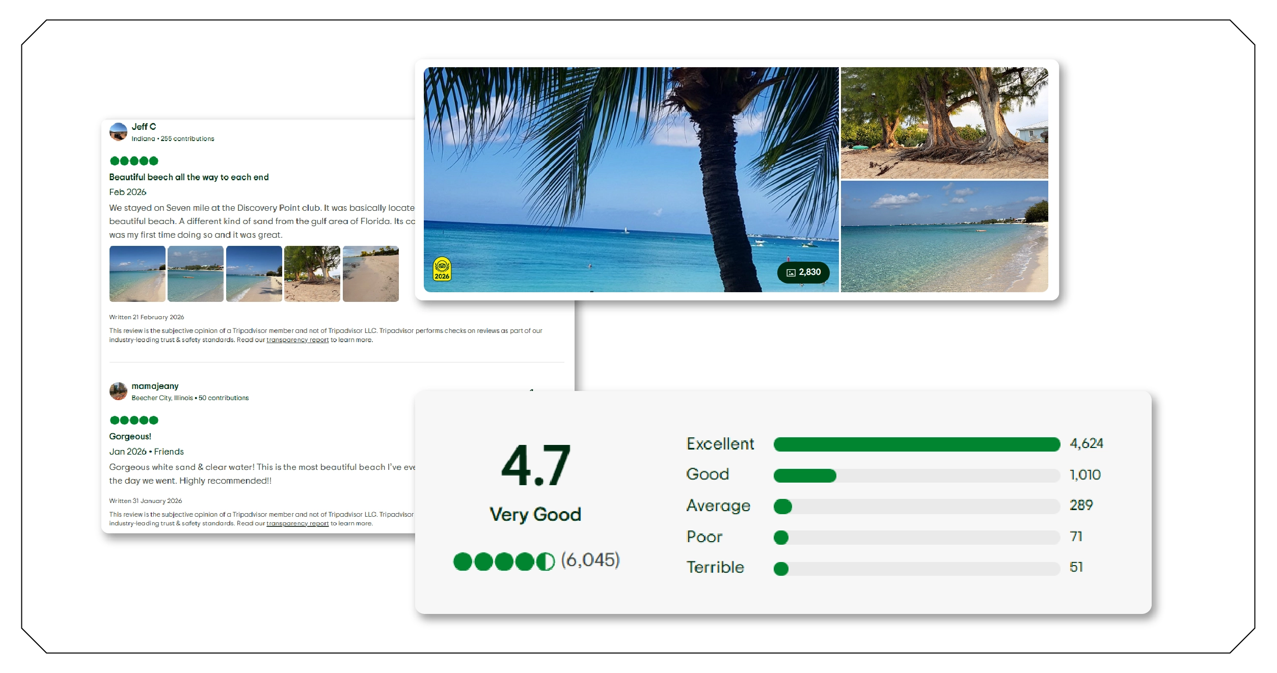 Tourism Analytics and Market Insights-01